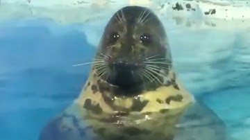 there is no need to be upset