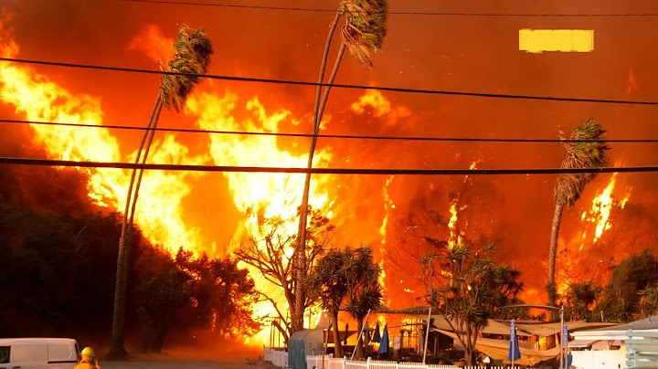 Structures Burn as Palisades Fire Explodes to 1,200+ Acres live