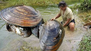 The huge clam has been nourished for a hundred years, and the treasure inside is very expensive