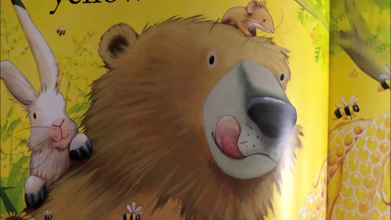 bear sees colors YouTube