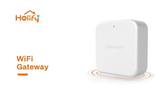 Holify WiFi Gateway Operation Guide WiFi Gateway Support TT Lock App Remotely Control Door Lock screenshot 3