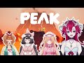 https://youtu.be/cEF6GBaQfcY