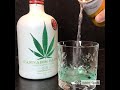 New Cannabis Sativa Gin