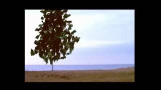 Video thumbnail of "Μελίνα Κανά - Δέντρο Μοναχό"