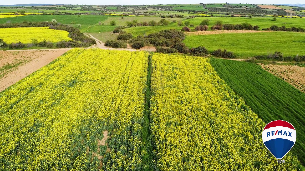 Bayramiç Köyü Gelibolu Çanakkale | Gürsoy Gayrimenkul Yatırım Danışmanlığı