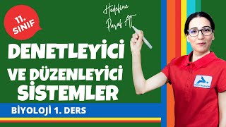 Denetleyici ve Düzenleyici Sistemler | 11. Sınıf Biyoloji Konu Anlatımları #11bylj