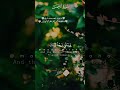 ك ل م ن ع ل ي ه ا ف ان 