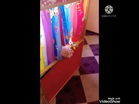 قصة عن النظافة الشخصيه للاطفال للوقايه من الامراض الكرونا مسرح عرائس 