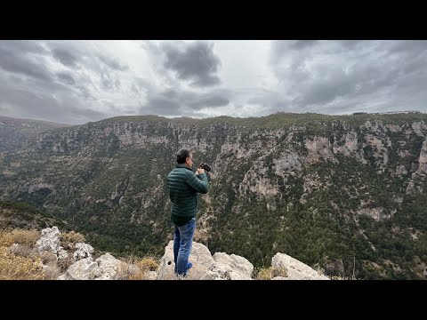 فيديو: أين محمية وادي السخانات الطبيعية