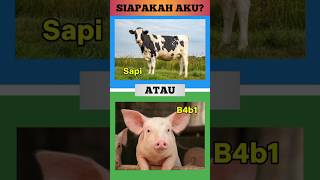 Tebak Tebakan Part 347 #shorts #quiz #tebaktebakan #kuis