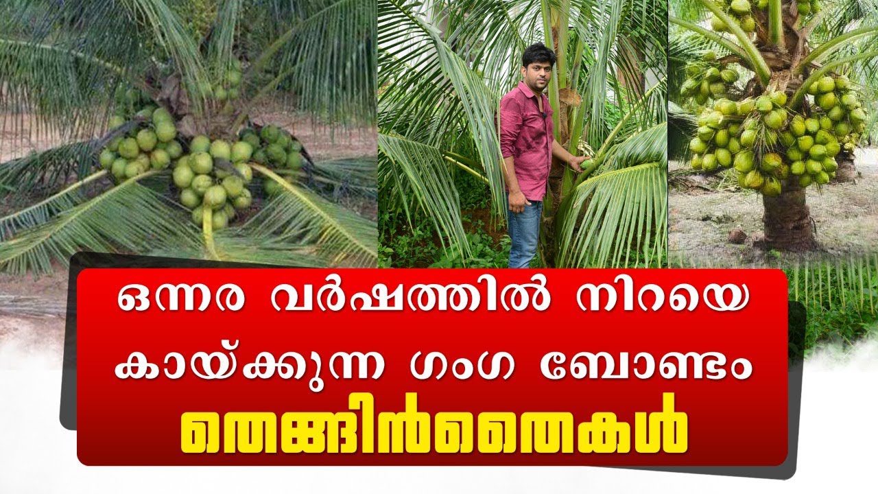 കേരളം മുഴുവന്‍ FREE DELIVARY 