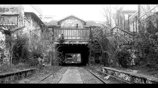 Petite Ceinture Paris