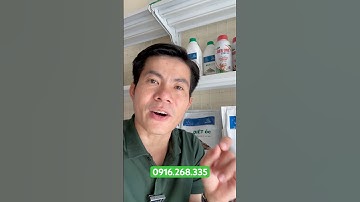 Diệt ốc đinh, diệt hàu chỉ, diệt hến, diệt chem chép, diệt hai mảnh vỏ, thuốc diệt ốc #shorts