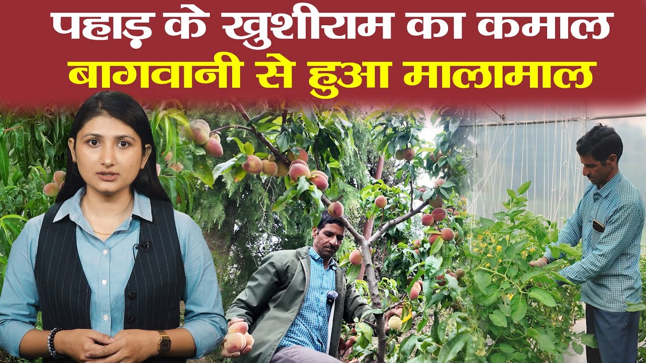 Horticulture | बागवानी से बदली तस्वीर | Farming | Tehri। Uttarakhand | Devbhoomi Dialogue