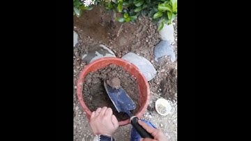 آيات من سورة الفرقان -محمد صالح باسندوه