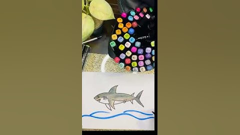 How to Draw a Shark @ https://www.youtube.com/@drawEasyStepbyStep-zy