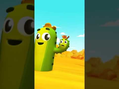   نبات الصحراء