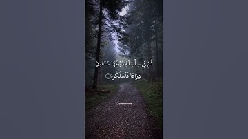 سورة الحاقة الشيخ احمد النفيس