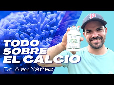 ALL ABOUT CALCIUM by ALEX YANEZ