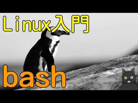 【7分で解説】Linux入門｜bash（ .bashrcに環境変数を追加するのはなぜ？ ）