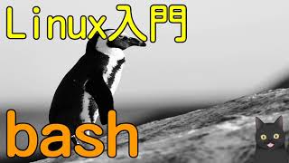 【7分で解説】Linux入門｜bash（ .bashrcに環境変数を追加するのはなぜ？ ）
