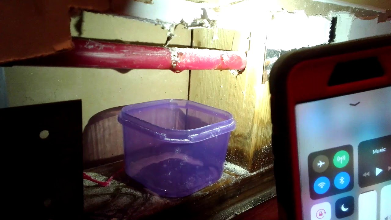 Pex pipe leak in wall from finish nail in baseboard YouTube