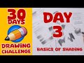 30 days drawing basics  day 3  basics of shading  basics of drawing  shading techniques