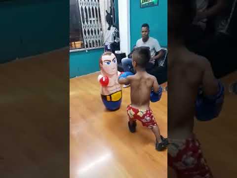 Peleas de henano