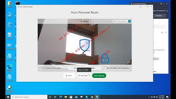 Display watermark on participant