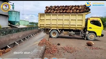 LOADING RAMP PERKEBUNAN KELAPA SAWIT (TPHP)