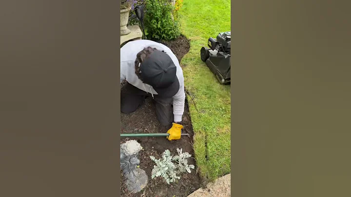 Satisfying lawn edging #satisfying #lawn #shorts #gardening - DayDayNews