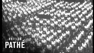 Review Of The Year 1946 (1946)