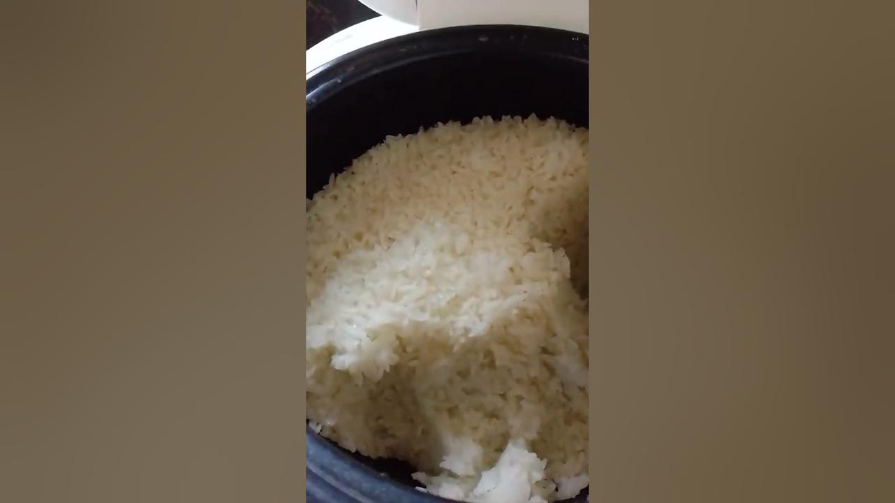 GAABOR RICE COOKER REVIEW 1 month and half using gaabor 3L ( TIPS PAANO