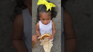 Most Of The Animals Were Sleeping