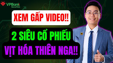 XEM GẤP VIDEO: 2 SIÊU CỔ PHIẾU VỊT HÓA THIÊN NGA!! - TÍN ITP