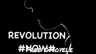 #FreeSowore song by Kentro C Lala