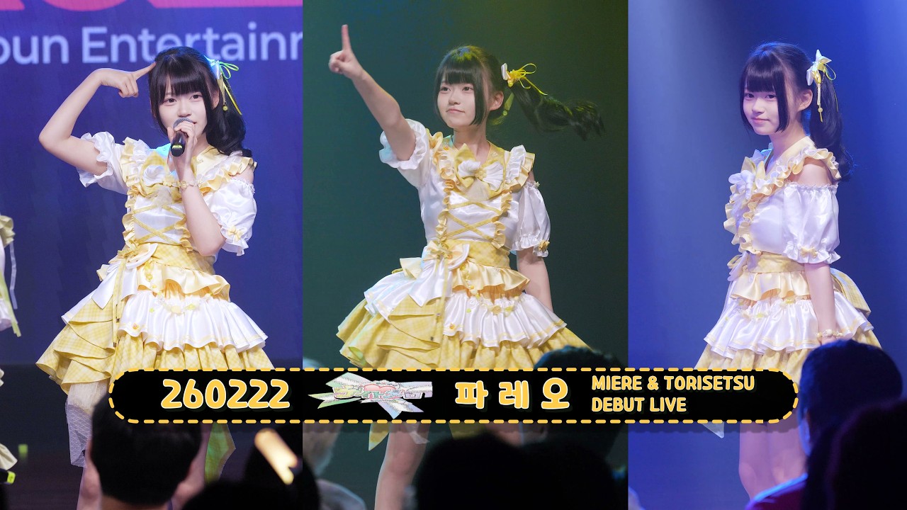 260222 나이트멜로 파레오 직캠 -『MIERE & TORISETSU DEBUT LIVE』
