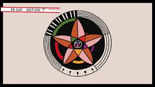 Miniatura del video "Dr. Dog - Can't Catch Me [Official Audio]"