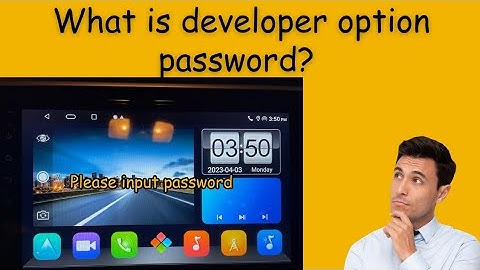 What is Developer option password for any Allwinner Android car stereo