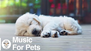 3 HOURS of Deep Sleep Relaxing Dog Music! Anti Anxiety & Boredom Busting Videos with Music for Dogs by For Your Pets 973 views 2 weeks ago 3 hours, 5 minutes