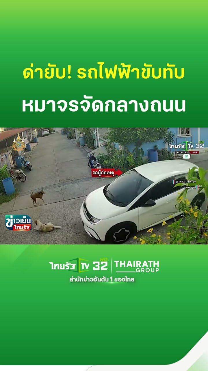 รุมสวดยับ รถไฟฟ้าทับหมาจรจัดกลางถนน | ThairathTV