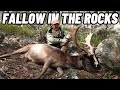 Hunting fallow in high country rocks