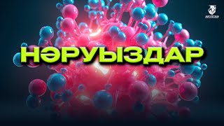 картинка: Нәруыздар. Биология ҰБТ-ға дайындық