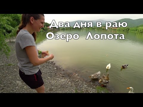 Lopota Lake Resort \u0026 Spa - ლოპოტას ტბა სპა \u0026 რეზორტი