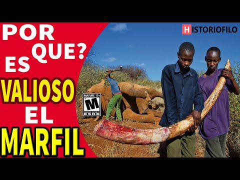 Video: Colmillo de mamut: extracción de colmillos de mamut, productos de colmillos de mamut