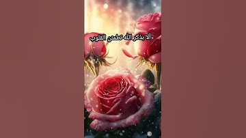 الأية(28-29)من سورة الرعد بصوت خالد الجليل