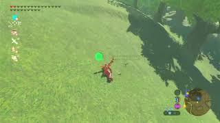 The Ragdoll Physics Of Botw Are Phenomenal