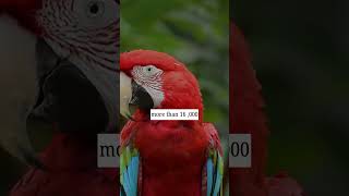 Amazon rainforest facts part 2 #facts #forest #wildlife #animals #2026 #wild #amazonrainforest