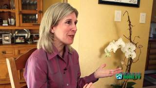 Meet Liz McCarthy