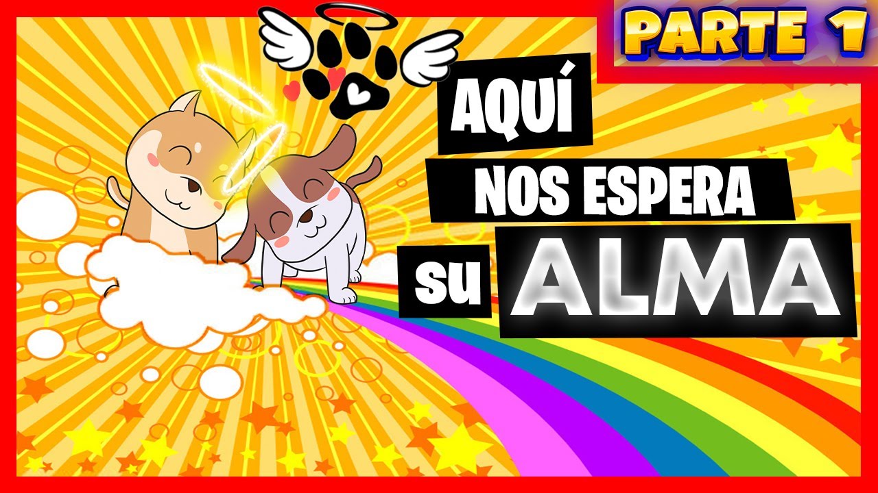 🐱🌈COMUNICACIÓN CON ANIMALES FALLECIDOS🌈🐶